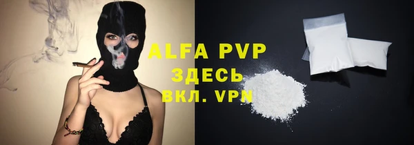 амф Надым