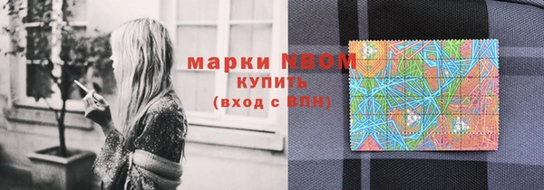 амф Надым