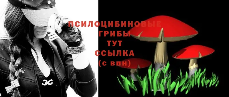 Галлюциногенные грибы GOLDEN TEACHER  как найти   blacksprut ССЫЛКА  Муром 
