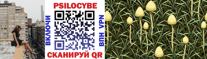 Псилоцибиновые грибы GOLDEN TEACHER shop официальный сайт Муром как найти закладки