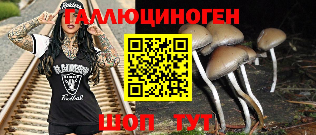 Муром  Галлюциногенные грибы мицелий  Псилоцибиновые грибы Magic Shrooms  Вход с VPN 