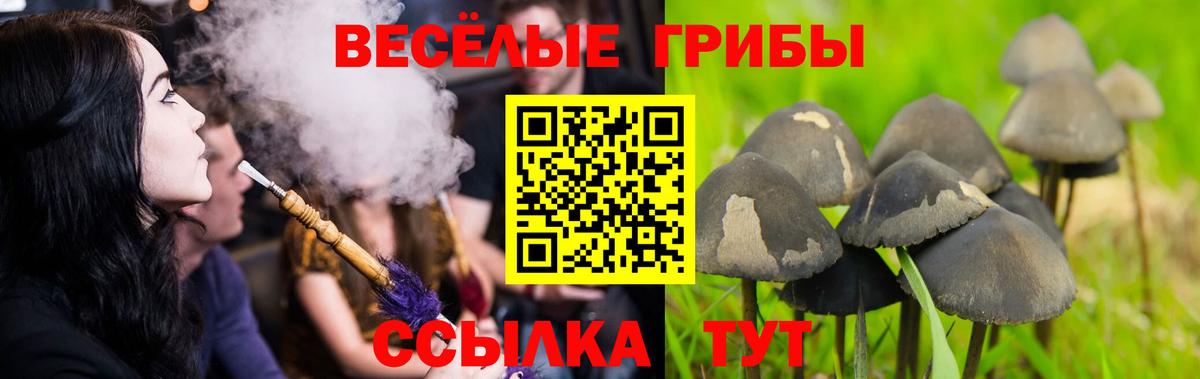 Галлюциногенные грибы MAGIC MUSHROOMS Муром