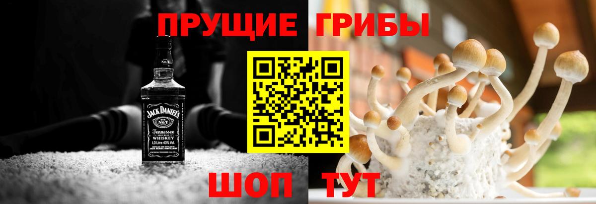 Галлюциногенные грибы прущие грибы Муром