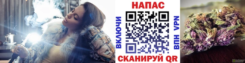 OMG tor  Муром  Бошки марихуана сатива 